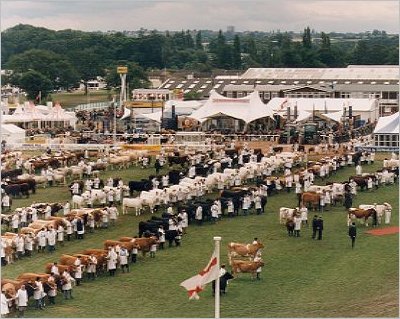 The Royal Show