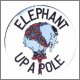 Elephant Up A Pole