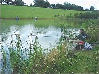 Meadowlands, Lambsdown Lake - from fisheries.co.uk