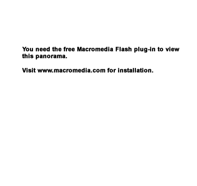 flash plug-in required