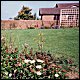 Holbrook Primary School landscaping scheme